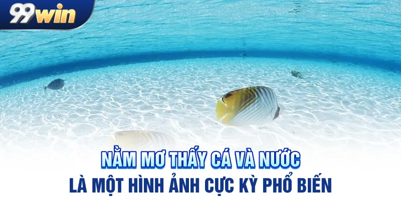 Nằm mơ thấy cá và nước là một hình ảnh cực kỳ phổ biến