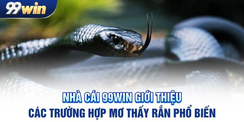 Nhà cái 99win giới thiệu các trường hợp mơ thấy rắn phổ biến